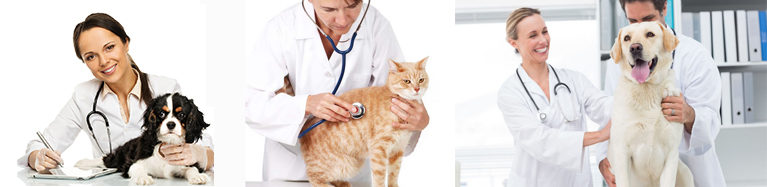 1461725000534110.jpg 3.jpg